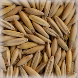 CHÂTEAU RAW OAT®
