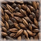 CHÂTEAU CAFÉ NATURE®