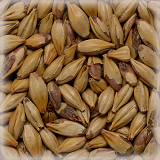 CHÂTEAU CARA AROME NATURE®