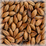 CHÂTEAU CARA CAFÉ NATURE®