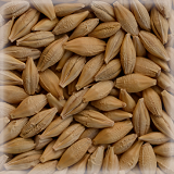 CHÂTEAU RAW BARLEY®