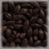 CHÂTEAU ROASTED BARLEY NATURE®