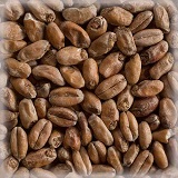 CHÂTEAU WHEAT MUNICH LIGHT NATURE® 16 EBC
