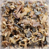 IRISH MOSS (5KG)